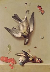 Naturaleza muerta de pájaros muertos y cerezas, 1712